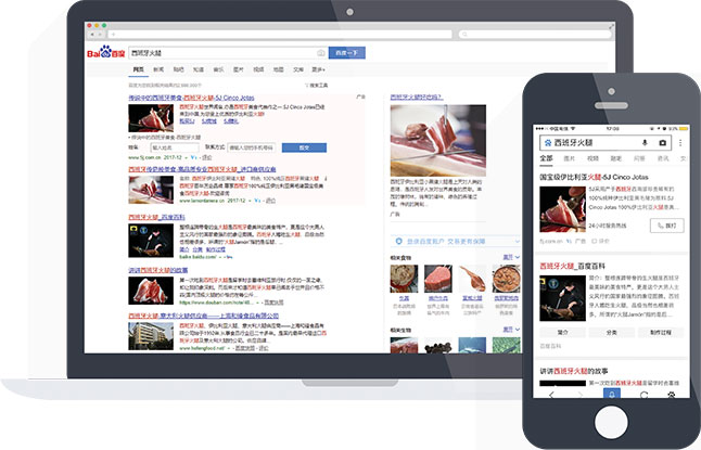 Pay Per Click (PPC) advertising services in China.